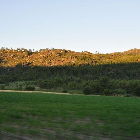 Pinheirinhos - Quinta De Sao Caetano Villa Carapito Eksteriør billede