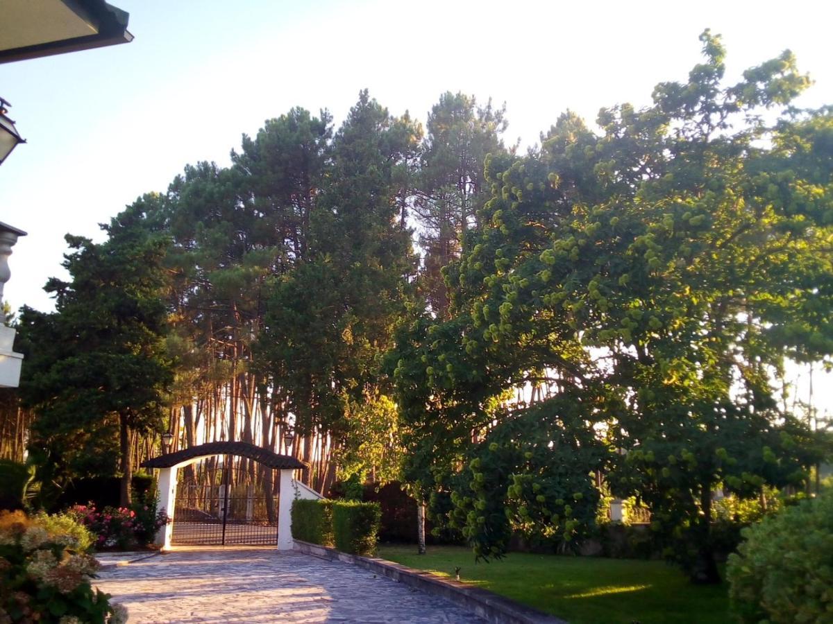 Pinheirinhos - Quinta De Sao Caetano Villa Carapito Eksteriør billede