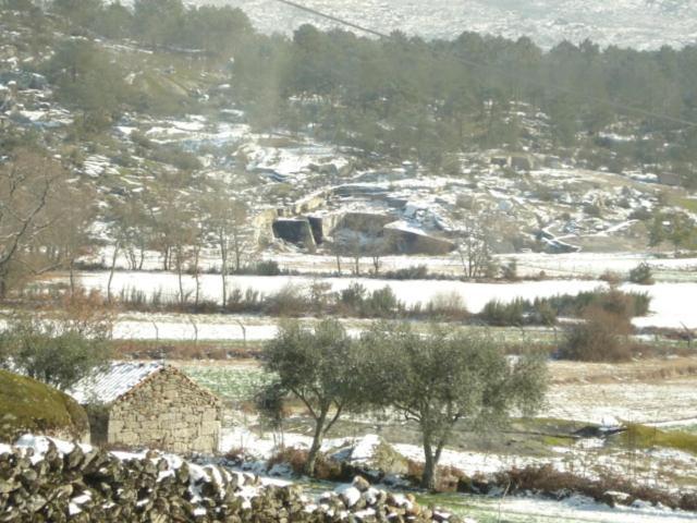 Pinheirinhos - Quinta De Sao Caetano Villa Carapito Eksteriør billede