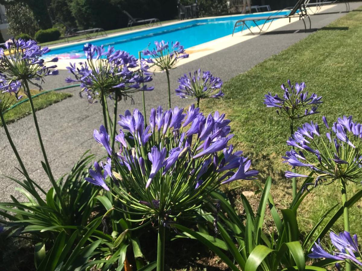 Pinheirinhos - Quinta De Sao Caetano Villa Carapito Eksteriør billede