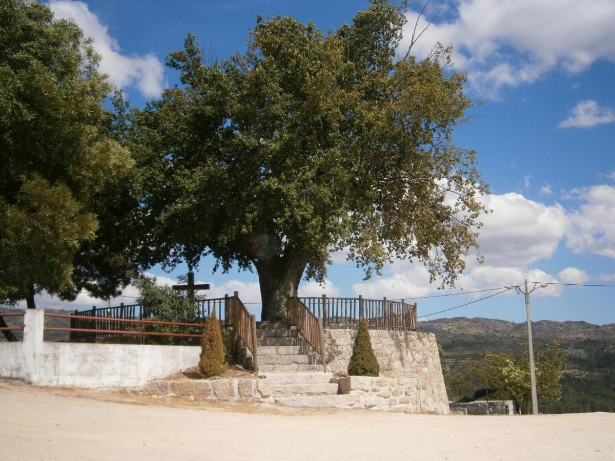 Pinheirinhos - Quinta De Sao Caetano Villa Carapito Eksteriør billede