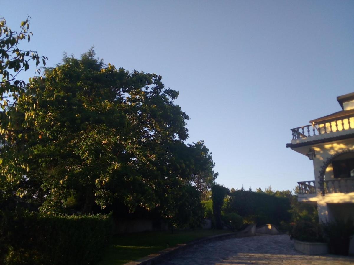 Pinheirinhos - Quinta De Sao Caetano Villa Carapito Eksteriør billede