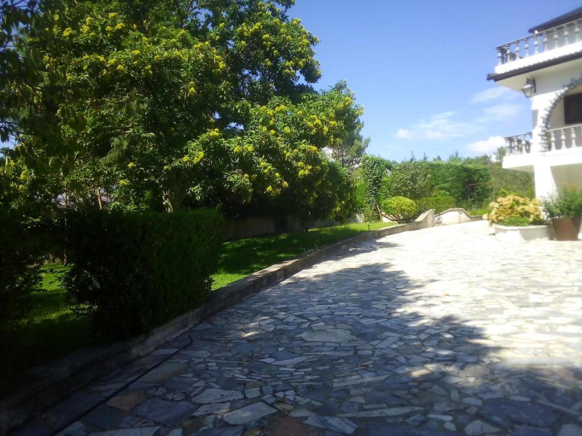 Pinheirinhos - Quinta De Sao Caetano Villa Carapito Eksteriør billede